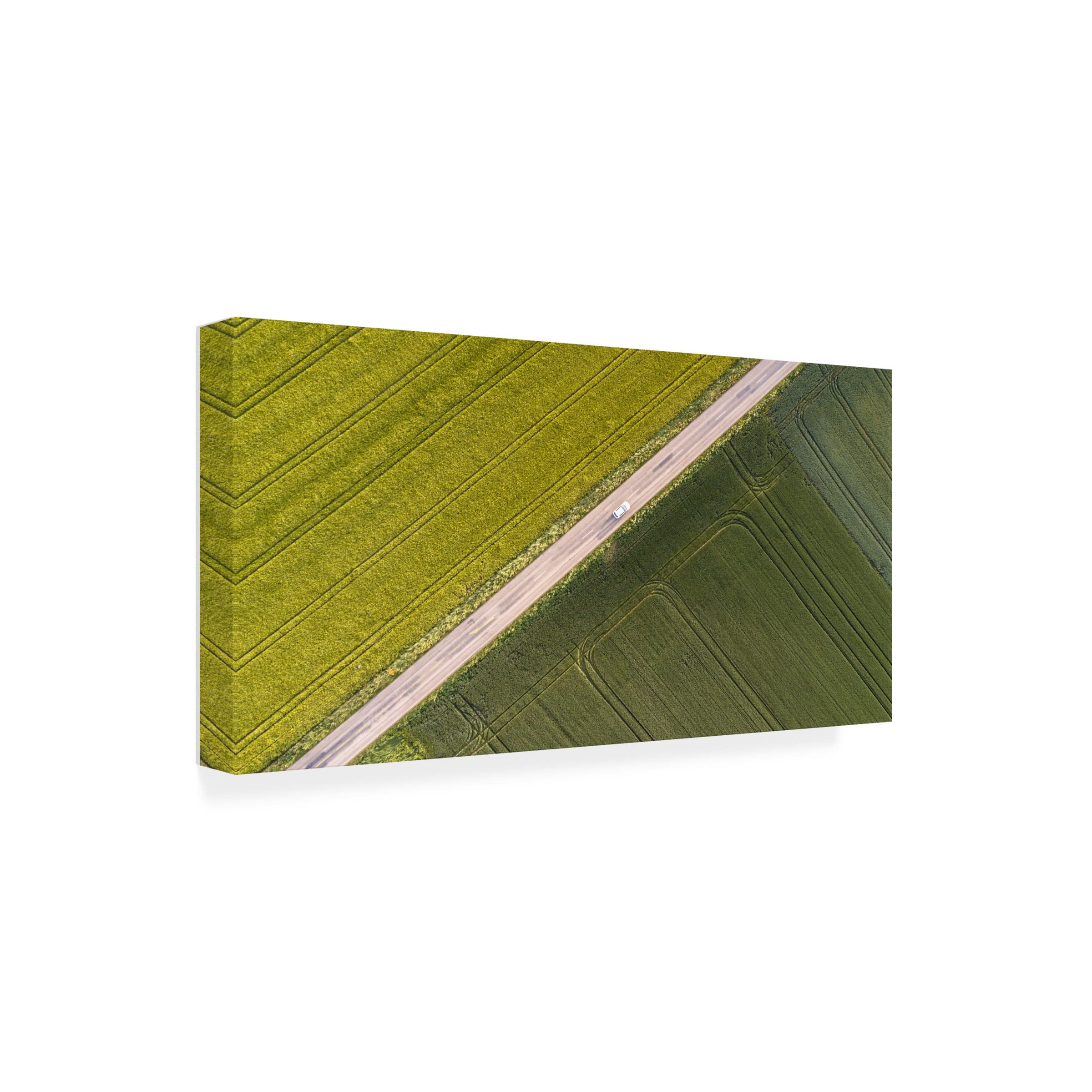 Trademark Fine Art 'Lines' Abstract Canvas Painting by Stephanie Kleimann - Modern Wall Art for Living Room, Bedroom & Office Decor