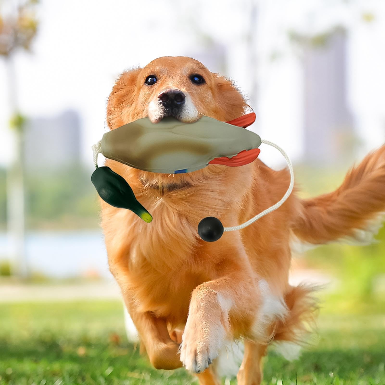 **Durable Duck Dog Toy for Outdoor Training - Realistic Dog Retrieving Toy for Puppies & Adult Dogs - Waterproof & Floatable for Pool, Lake, or Backyard Play**