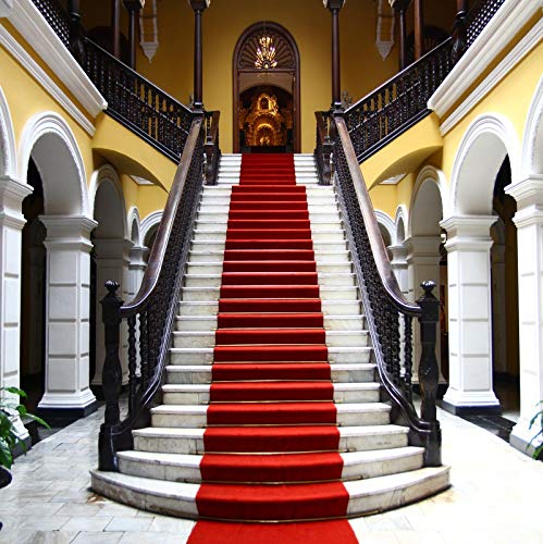 Baocicco 10x10ft Wedding Backdrop - Luxurious European Architecture Church Background with Elegant Staircase & Arches for Wedding Ceremony, Red Carpet Events, Portrait Studio Props | Perfect for Bridal Showers, Anniversary Photos & VIP Event Decorations