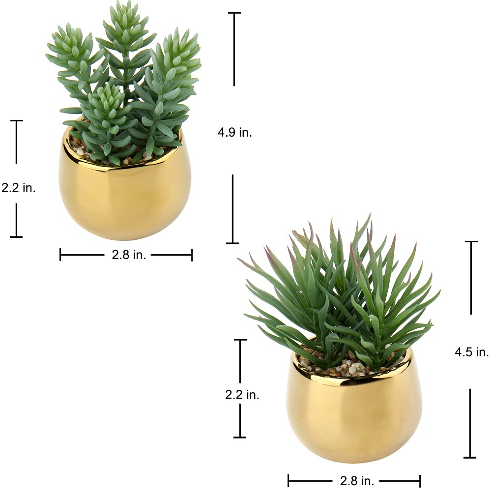 Briful Set of 2 Small Artificial Succulent Plants in Gold Ceramic Pots - Realistic Faux Succulents for Home, Office & Bathroom Decor - Perfect for Table, Desk & Shelf Decoration