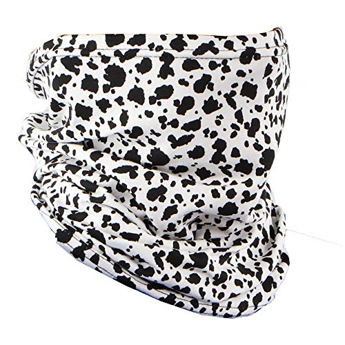 Dalmation