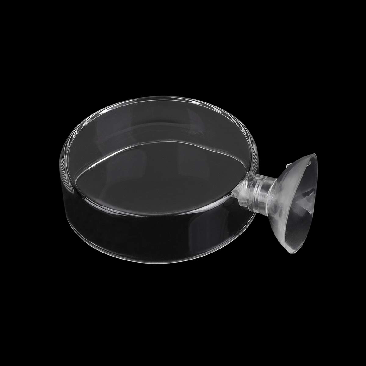 Premium Clear Glass Aquarium Feeding Dish with Suction Cup - 60mm Round Fish Tank Food Tray for Shrimp & Fish - Prevents Food Spreading & Maintains Clean Water - Perfect for Freshwater & Saltwater Tanks