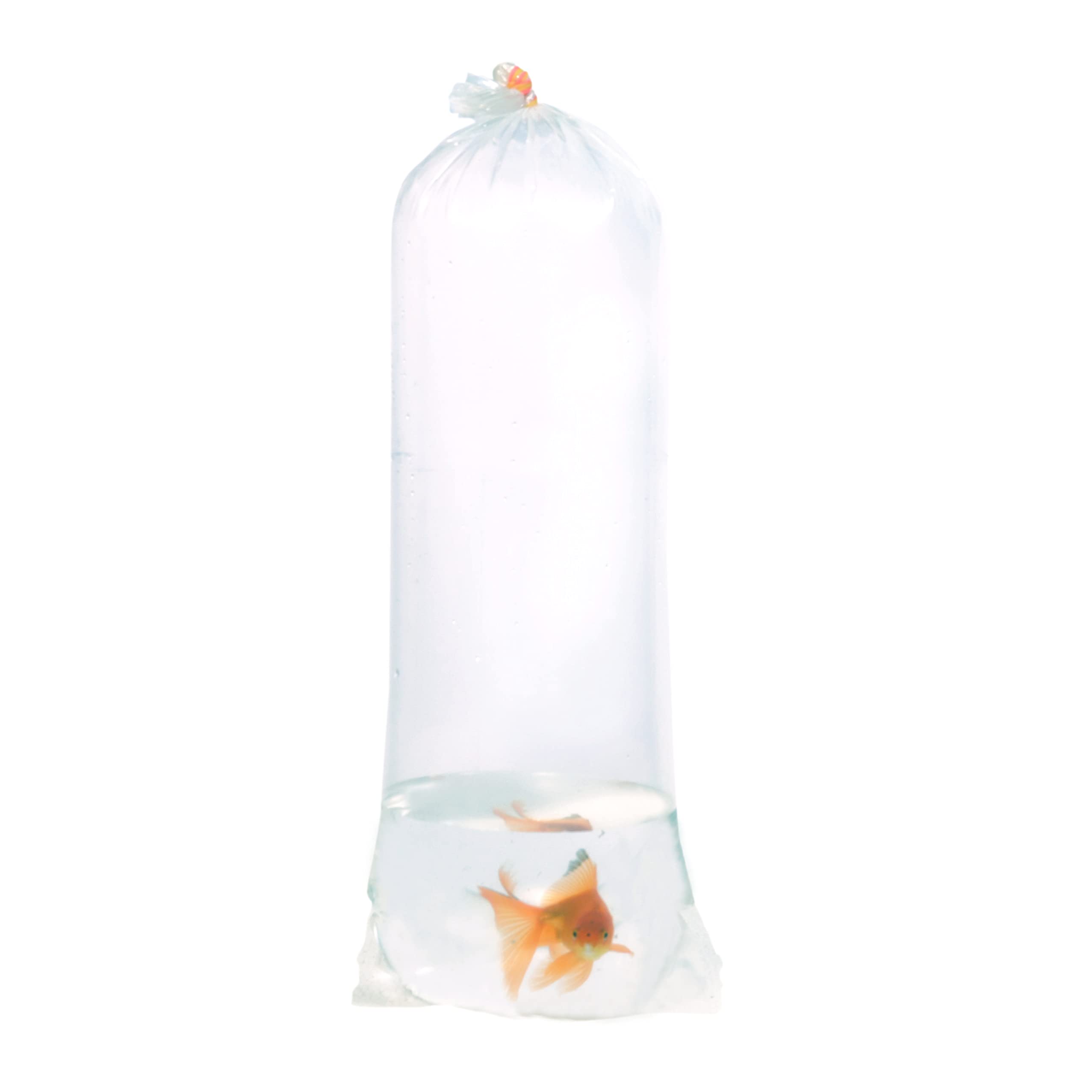 ALFA Fishery Bags - Pack of 100 Leak-Proof Clear Plastic Fish Bags (6 Inches, 2 Mil) for Marine & Tropical Fish Transport | Ideal for Aquarium Fish Shipping, Pet Store Display & Live Fish Transportation