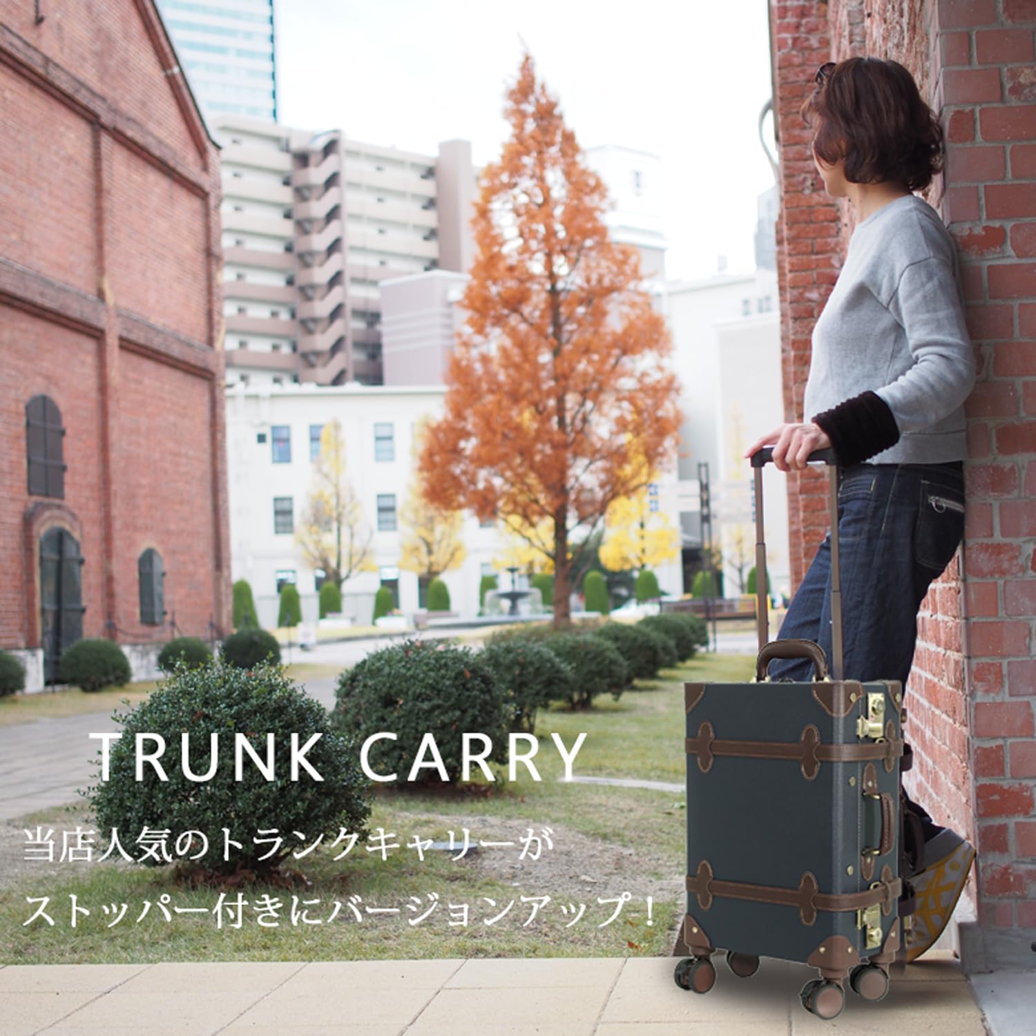 Vintage Trolley Luggage with TSA Lock - 20
