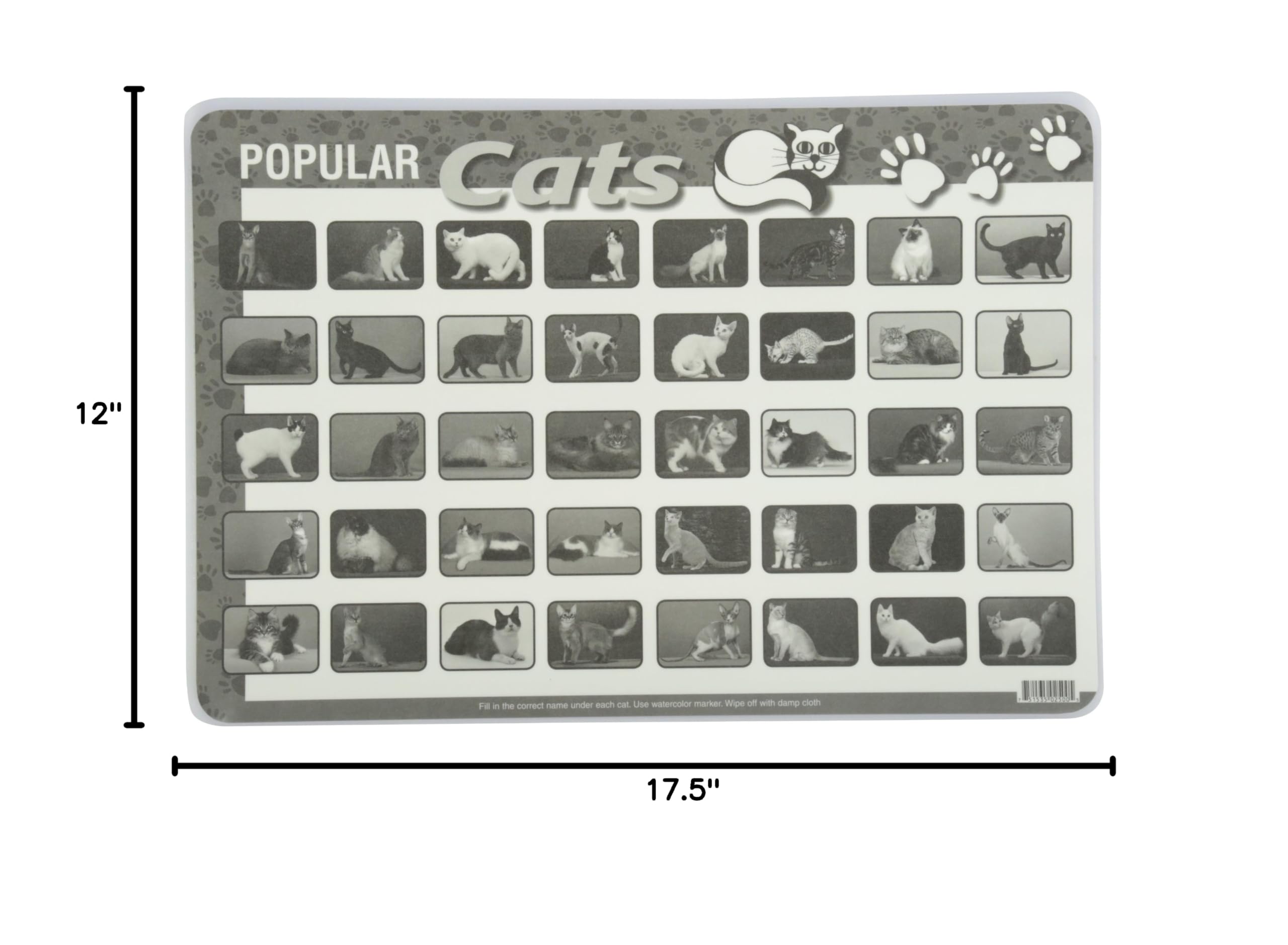 Painless Learning Popular Cats Placemats - Large Non-Slip Placemat Set for Dining Table, Kitchen, Office Desk | Cute Cat-Themed Home Decor for Cat Lovers