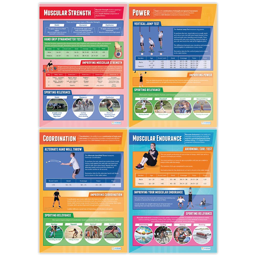 Daydream Education Components of Physical Fitness Posters - Set of 12 - EXTRA LARGE 33” x 23.5” - Gloss Paper - PE Classroom Decor for Middle & High School - Educational Wall Charts - Perfect for Gymnasiums, Fitness Centers & Home Workout Spaces