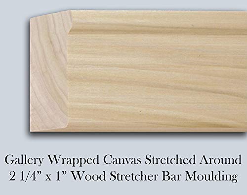 Gladding, Pamela 28x28 Large Gallery Wrapped Stretched Canvas Art - 'Chef Salad' Modern Kitchen Decor | Perfect for Dining Room & Restaurant Wall Art