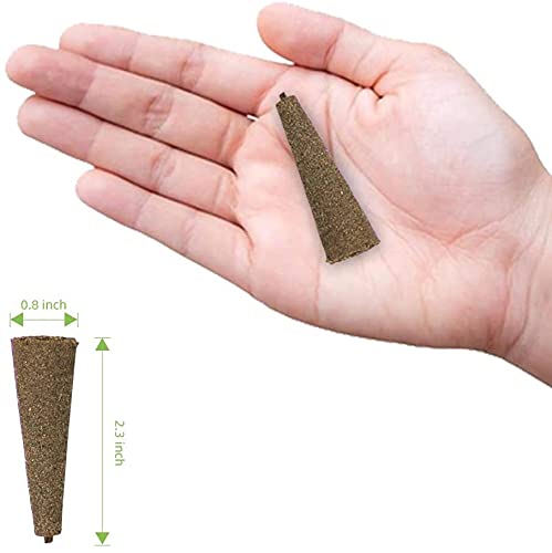 **50 Pack AeroGarden Grow Sponges - Hydroponic Plant Growing Plugs for Seed Starting & Indoor Gardening - Perfect for Herbs, Vegetables, and Flowers**