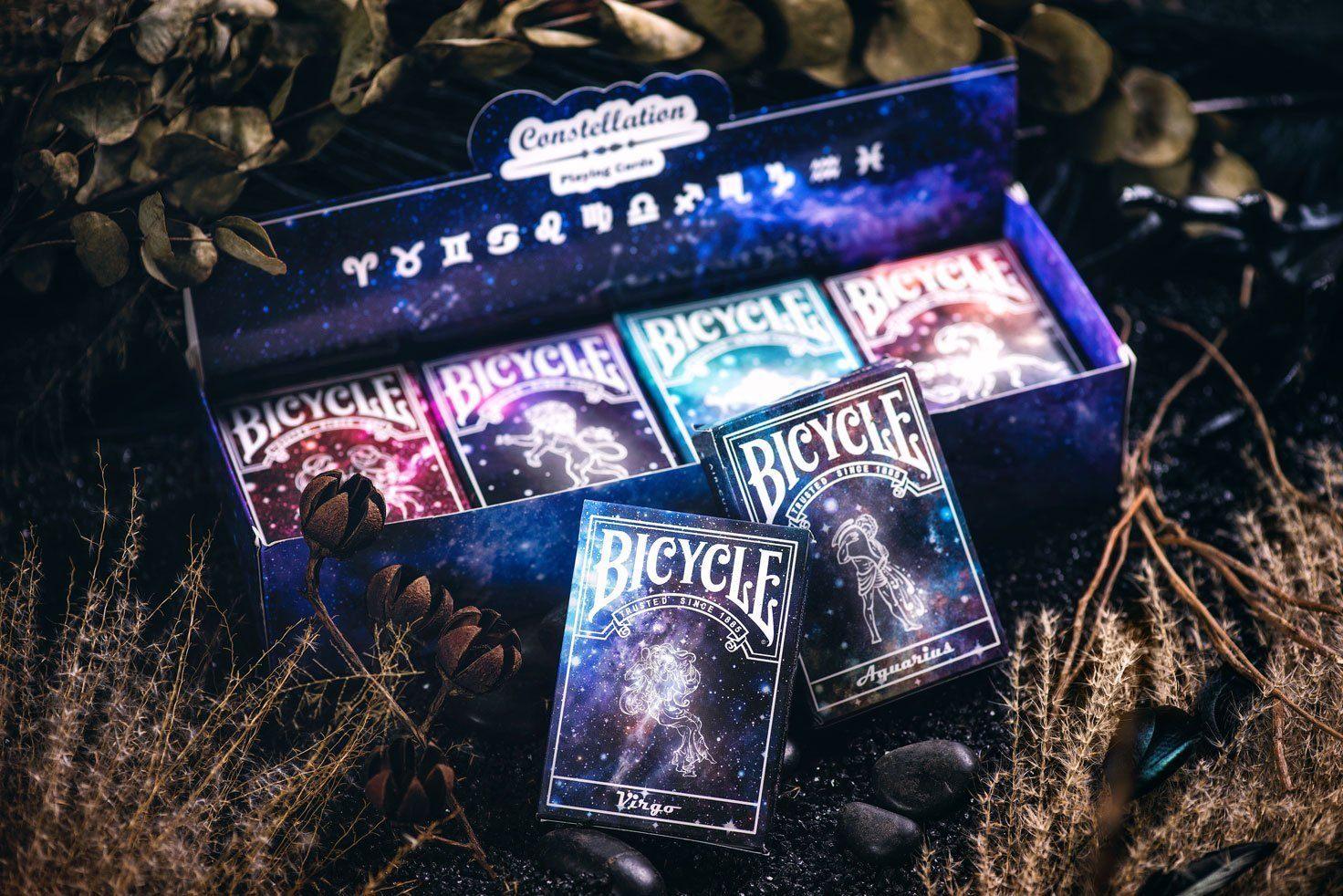 Bicycle Constellation Aquarius - Premium Zodiac-Themed Bicycle for Adults & Teens | Perfect for Outdoor Cycling, Commuting & Fitness Rides