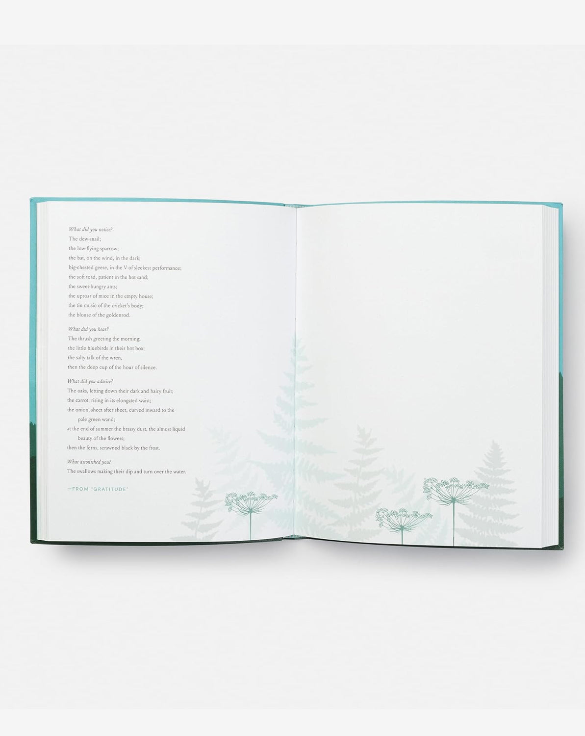 This Wild and Precious Life - Inspirational Journal for Self-Discovery & Personal Growth | Perfect for Daily Reflection, Gratitude Practice & Creative Writing