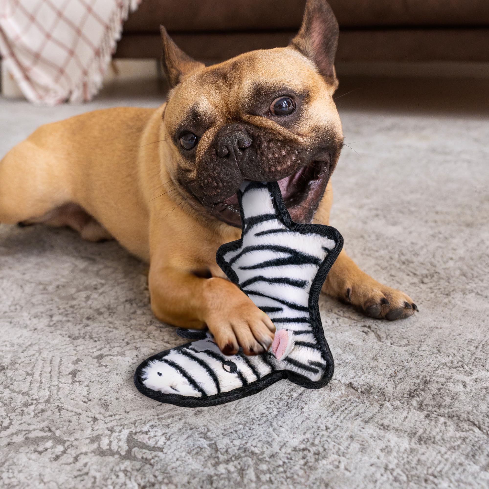 SHARLOVY Durable No-Stuffing Dog Toys with Crinkle & Squeaky Sounds - 6-Layer Tough Chew Toys for Aggressive Chewers, Puppy Teething - Long-Lasting Plush Toys for Small, Medium & Large Breed Dogs - Perfect for Playtime, Training & Anxiety Relief
