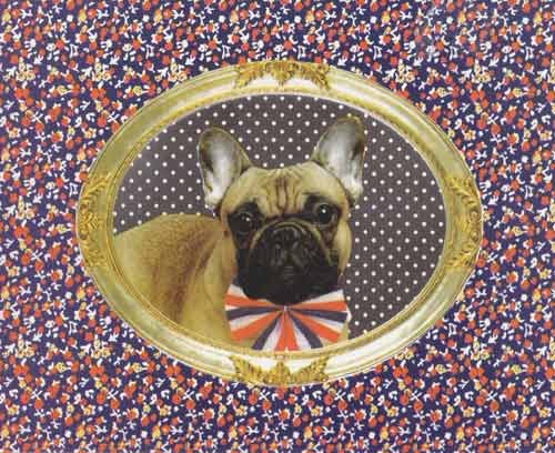 Funny Birthday Greeting Cards - Humorous 'Happy Birthday' Wishes for Friends & Family - Perfect for Parties, Gifts & Celebrations