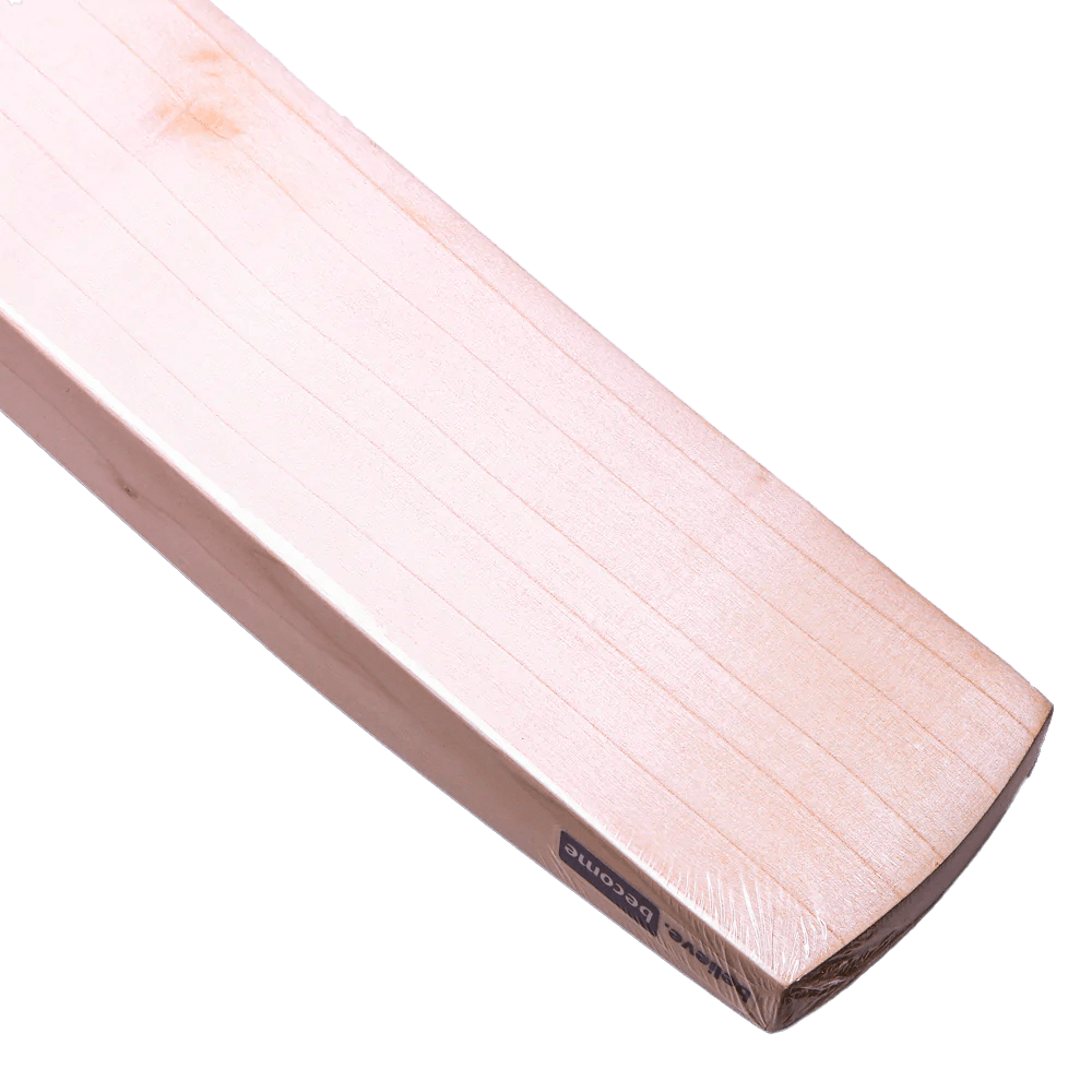 SG RP Extreme Senior Cricket Bat - Premium English Willow, Lightweight & Durable for Competitive Matches - Perfect for Professional & Club-Level Cricket Players