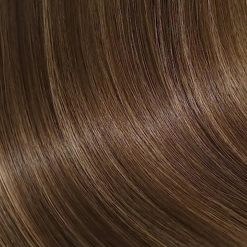 Chocolate Brown with Blonde Highlights