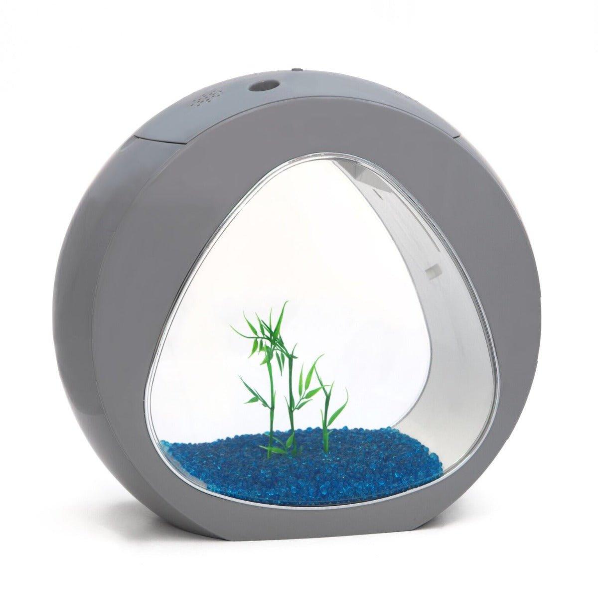 Nano Curve Acrylic Fish Tank 13.5L (3.5 Gallon) - 2 Colors - Perfect for Home, Office & Small Space Aquarium Setup