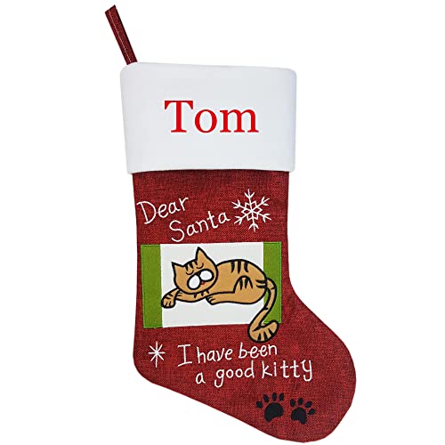 Cat 3