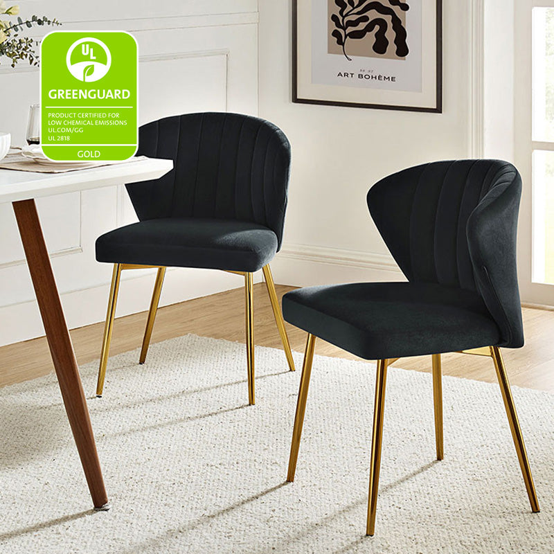Aruna Side Chair Set - Modern Dining Chairs for Kitchen, Living Room & Office - 2-Piece Wooden Accent Chairs with Cushion - Perfect for Small Spaces, Breakfast Nook & Home Decor