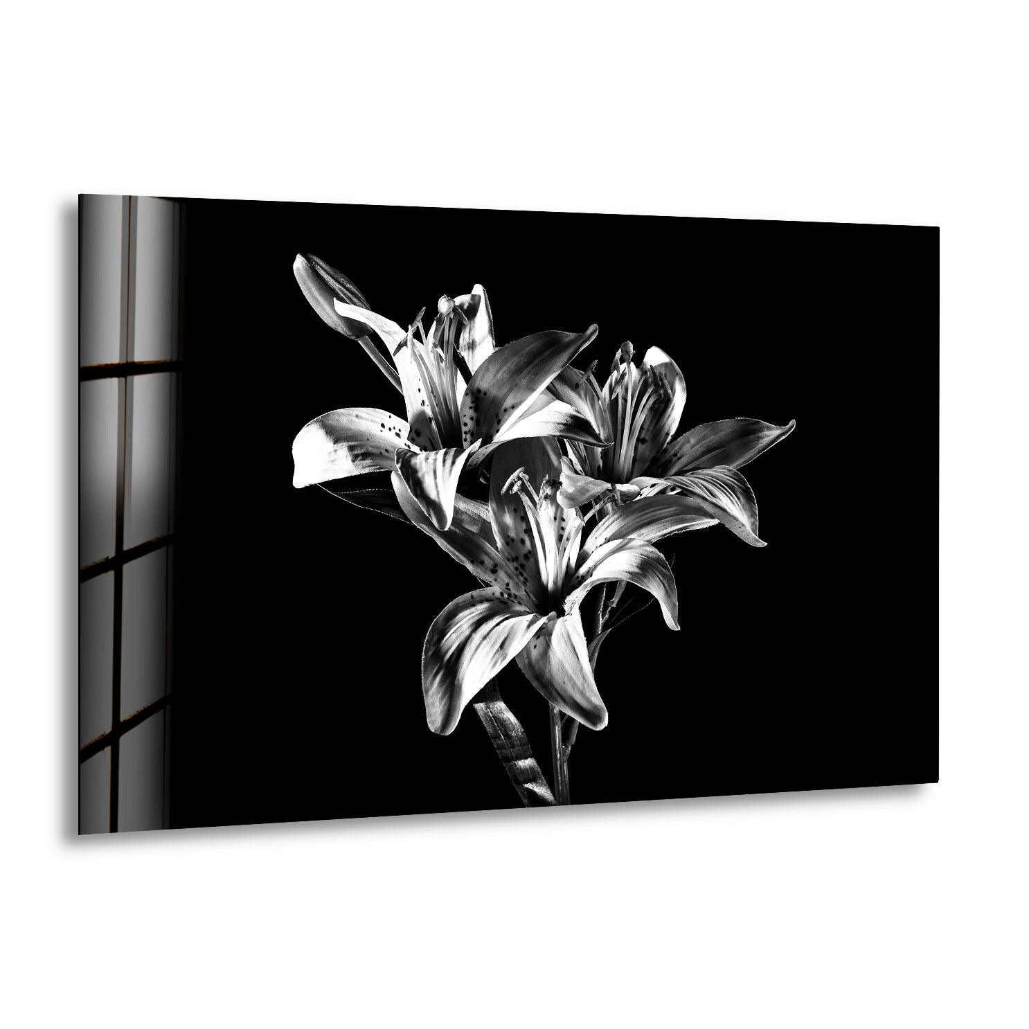 Black X-Ray Lily Flower Glass Wall Art - Elegant Home Decor for Living Room, Bedroom & Office - Perfect Gift for Housewarming, Wedding & Birthday
