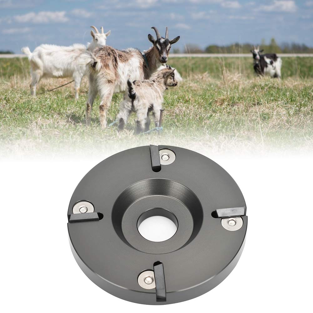 Professional Metal Hoof Trimming Disc Plate Tool for Horses, Sheep, Cattle & Cows - Durable Livestock Hoof Care Equipment for Farm & Ranch Maintenance
