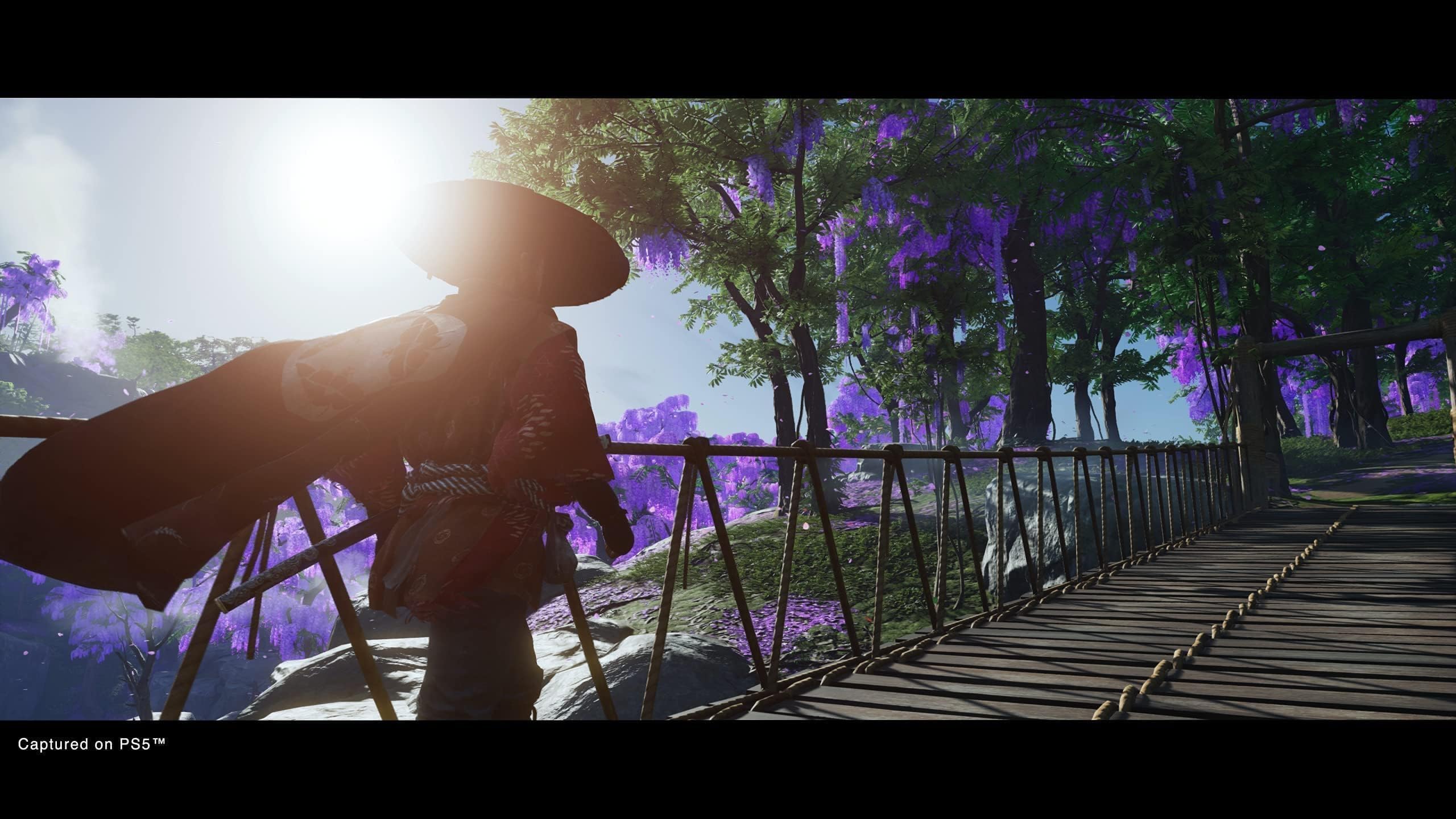 Ghost of Tsushima Director's Cut - PlayStation 5 Game | Action-Adventure Samurai Game | Perfect for PS5 Gamers & Japanese Culture Enthusiasts | Immersive Open-World Experience for Solo Players
