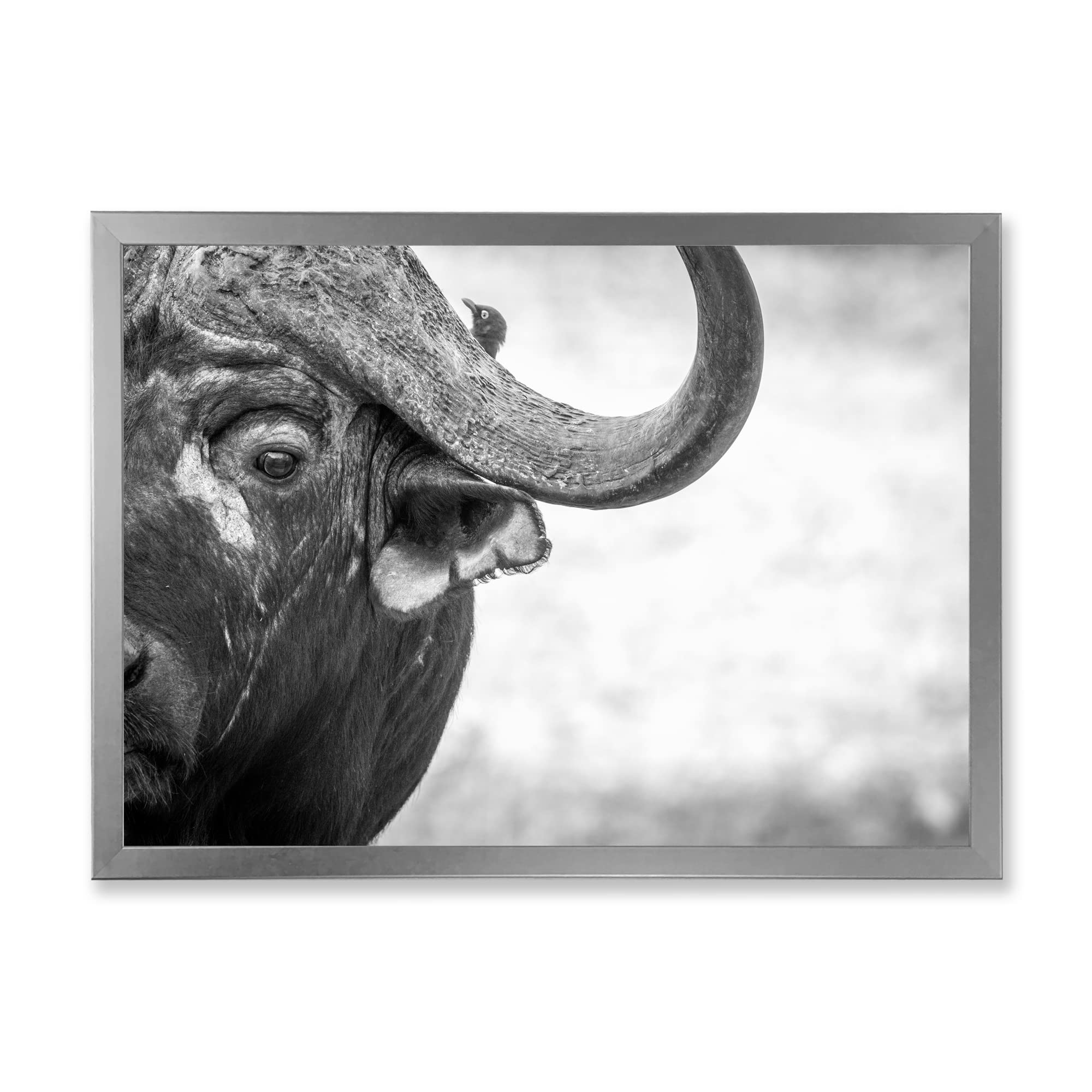 DesignQ Monochrome Buffalo Portrait III - Farmhouse Framed Wall Art Decor for Living Room, Bedroom & Office