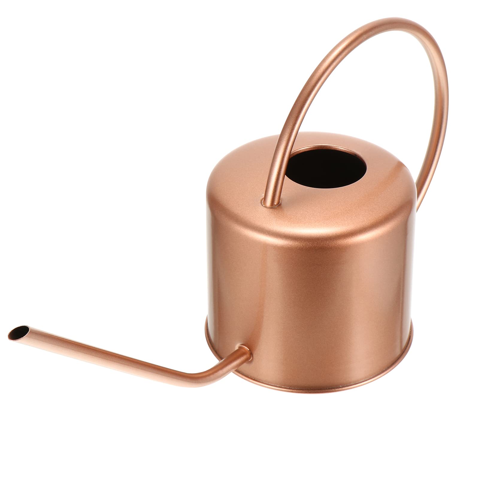 Hemoton Stainless Steel Watering Can - 1 Gallon Garden Watering Pot with Long Spout for Indoor & Outdoor Plants, Flowers, and Herbs - Perfect for Home, Office, and Greenhouse Use