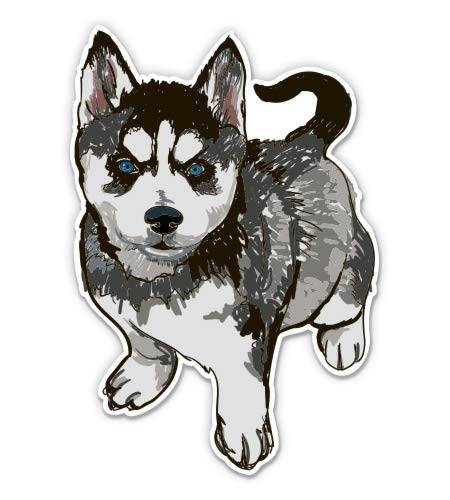 Husky Puppy Dog 3