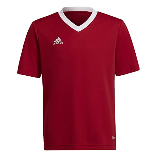 Team Power Red 2