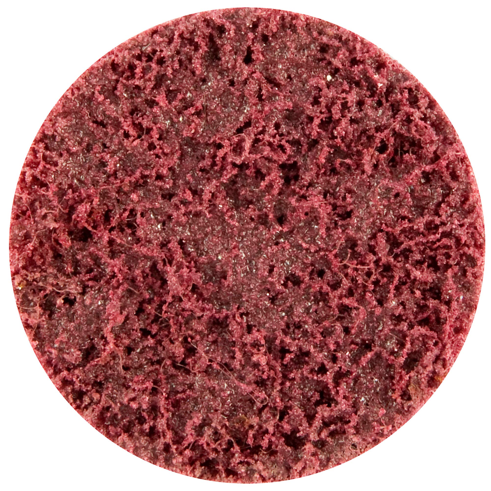 Norton 66623334956 3-Inch Hook & Loop Sanding Discs - Medium Grit for Power Sanders | Perfect for Woodworking, Metal Polishing & DIY Home Projects