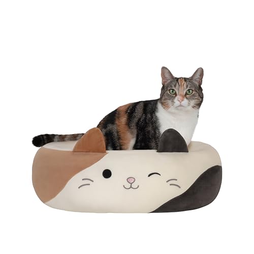 Cam The Cat
