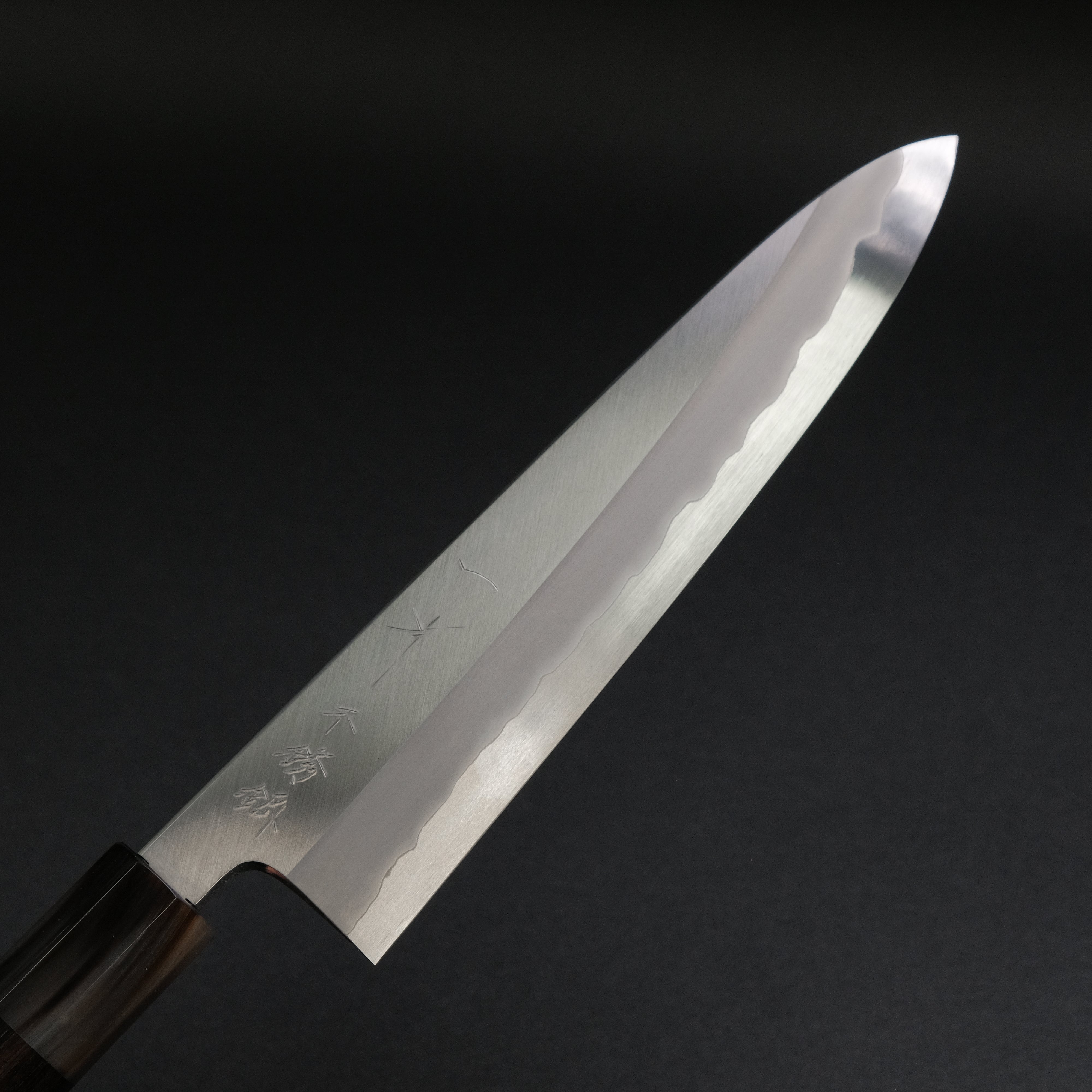 Hitohira Tanaka Kyuzo Blue #1 Stainless Clad Gyuto 210mm Japanese Chef Knife - Taihei Makassar Ebony Handle | Professional Kitchen Knife for Sushi, Meat Cutting & Food Preparation | Premium Discounted Chef's Knife