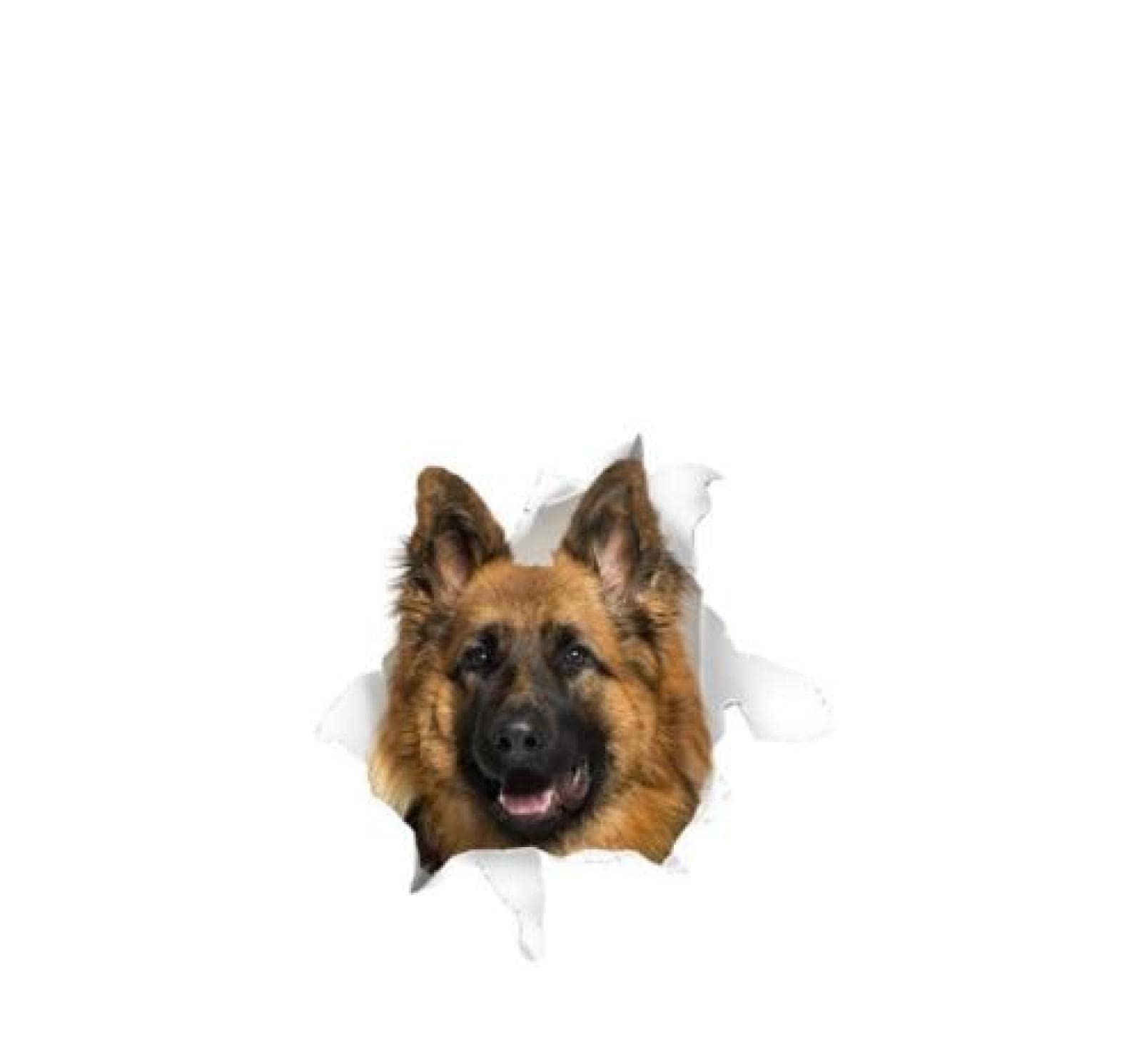 Funny Waterproof Dog Car Stickers (2Pcs, 18cm) - Scratch Cover Decals for Dog Lovers | Perfect for Car Windows, Laptops & Pet Accessories - Dogs Are Man's Most Loyal Friends