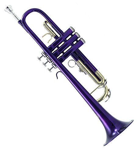 Sky Band Approved Orchid Purple Lacquer Brass Bb Trumpet with Case, Cleaning Cloth, Gloves & Valve Oil - Professional Brass Instrument for Beginners & Students - Perfect for School Bands, Jazz Ensembles & Solo Performances