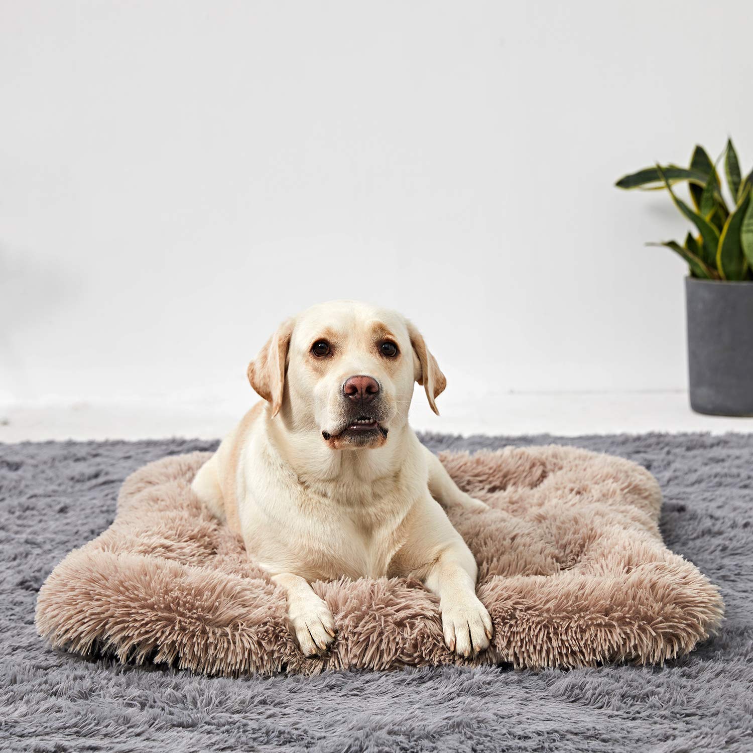 Large Washable Dog Bed for Big Dogs - 36 Inch Crate Pad & Cushion - Perfect for Kennels, Crates, and Home Comfort