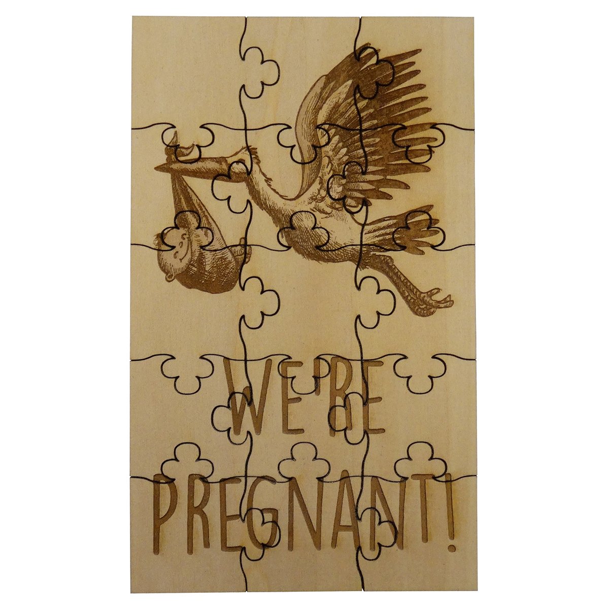 We're Pregnant
