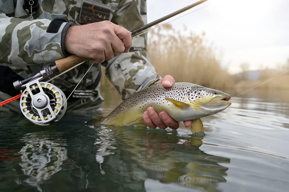 3-Piece Slim Fly Box Set - Clear Fishing Flies Organizer & Tackle Storage for Trout - Compact Bug Box for Fly Fishing Enthusiasts - Perfect for Stream, River, and Lake Fishing Trips