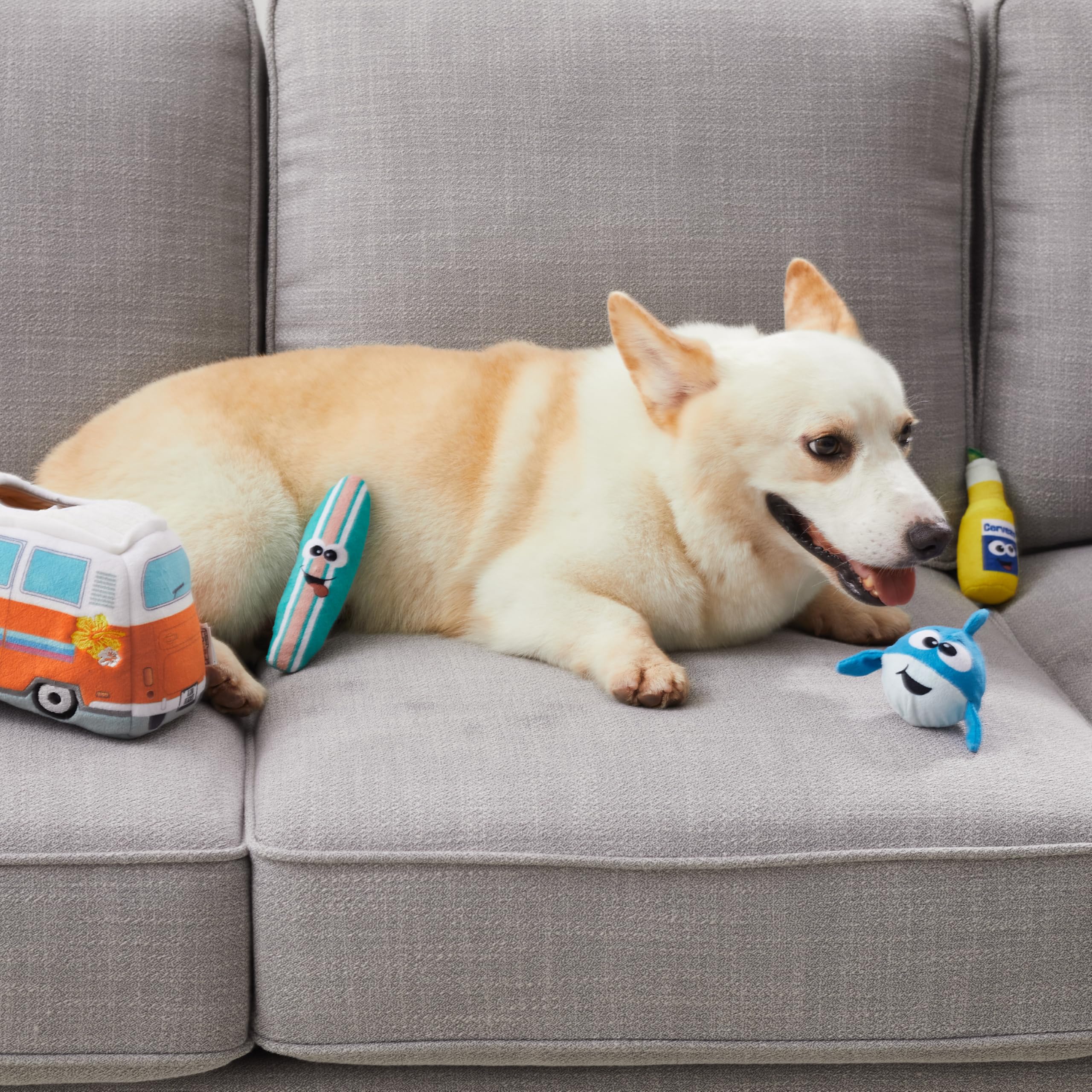Outward Hound Hide A Surf Van Plush Dog Toy Puzzle - Interactive Treat Puzzle for Dogs, Fun Mental Stimulation Game for Small & Medium Breeds - Perfect for Indoor Play & Training Sessions