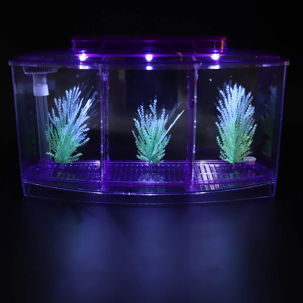 3-Section Small Aquarium Tank - Clear Desktop Fish Tank with LED Light & Water Change Valve for Betta & Small Fish (Purple) | Perfect for Home Office Decor, Kids Education & Stress Relief