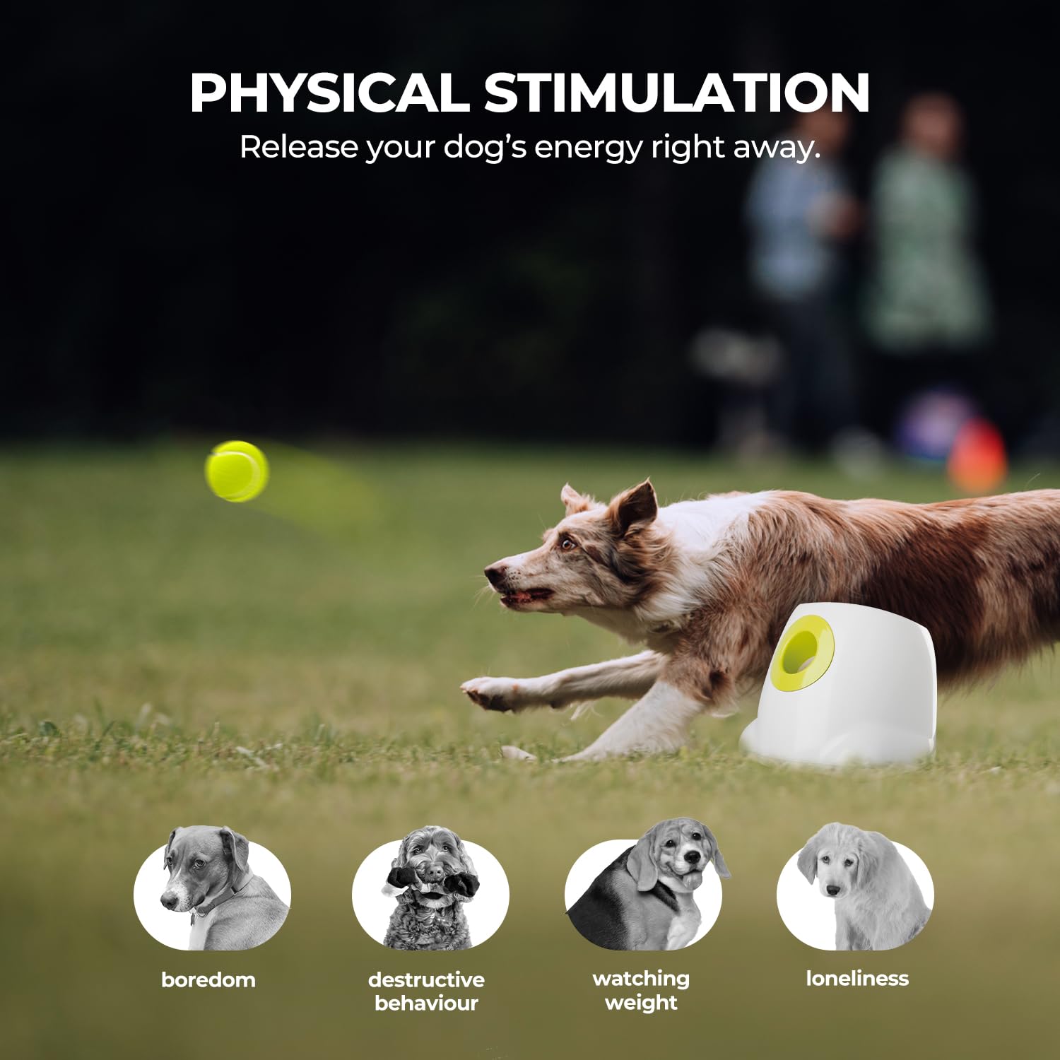 ALL FOR PAWS Automatic Dog Ball Launcher for Medium to Large Dogs - Interactive Tennis Ball Thrower with Rechargeable Battery, Mental Stimulation Toy for Active Dogs - Perfect for Backyard Play, Training & Exercise