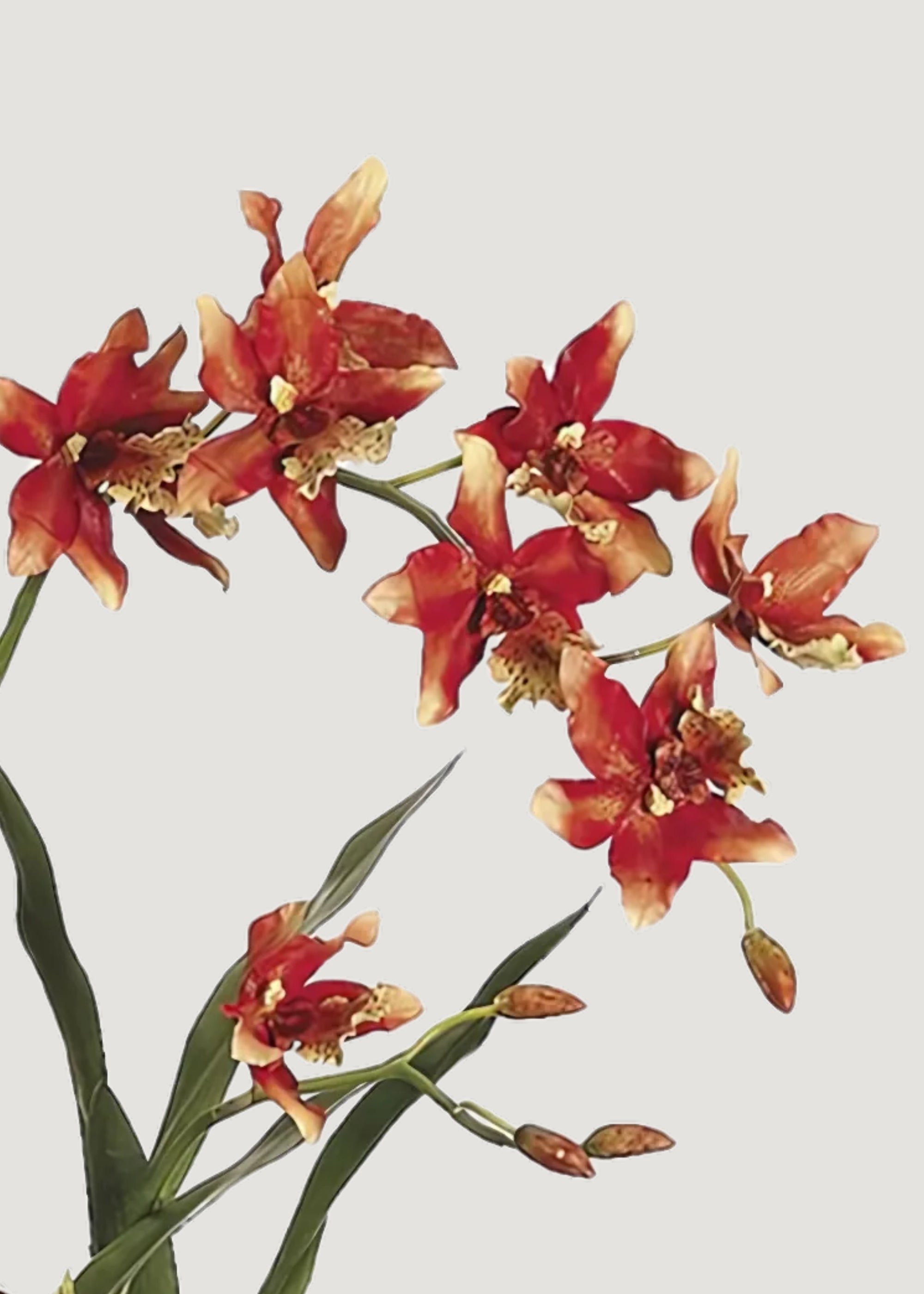 Open Box - Artificial Potted Orchid Arrangement in Clay Bowl - 28