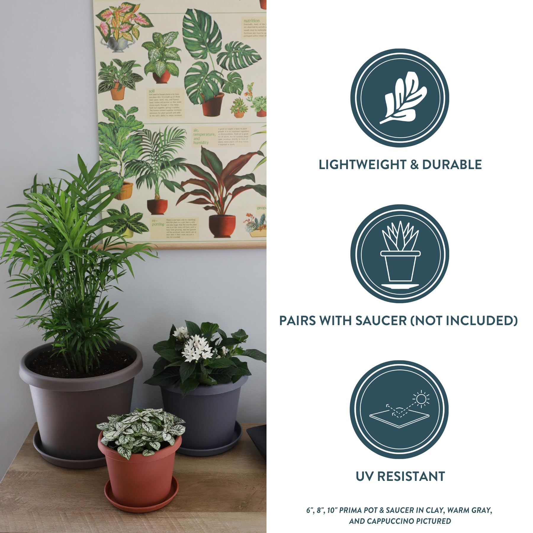 The HC Companies 12 Inch Round Prima Planter - Durable Plastic Flower Pot with Rolled Rim for Indoor & Outdoor Plants, Herbs, Succulents - Perfect for Home Decor, Garden, Patio, and Balcony Use