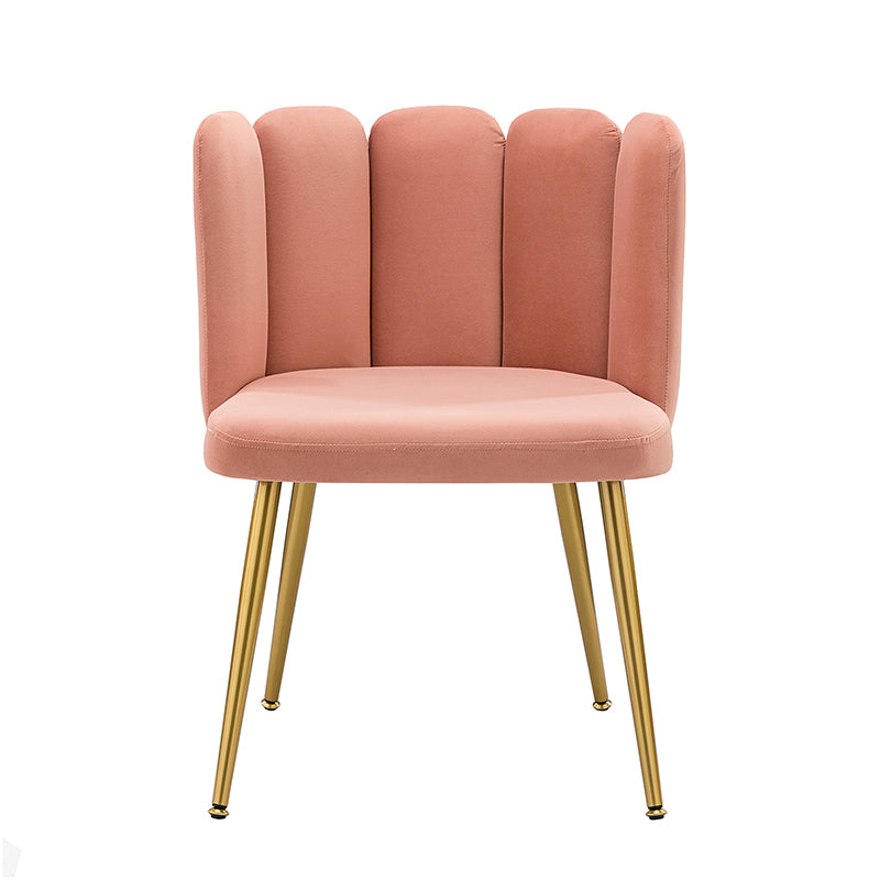 Elodia Side Chair - Modern Accent Chair for Dining Room, Living Room & Office - Sturdy Wooden Frame with Upholstered Seat - Perfect for Home Decor & Small Spaces