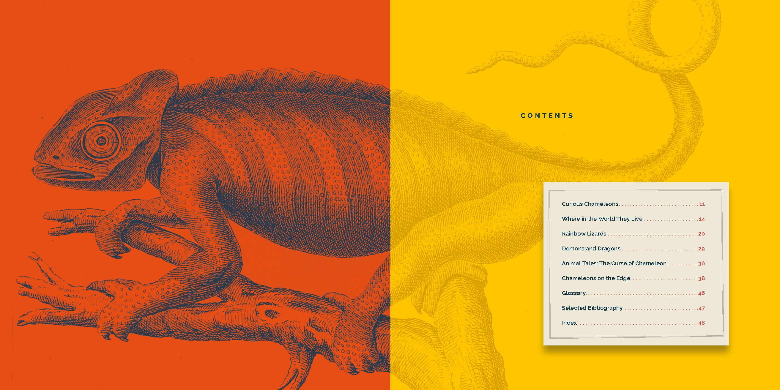 Chameleons Book - 9781640265974 | Fascinating Reptile Facts & Photos for Kids & Adults | Perfect for School Projects & Nature Lovers