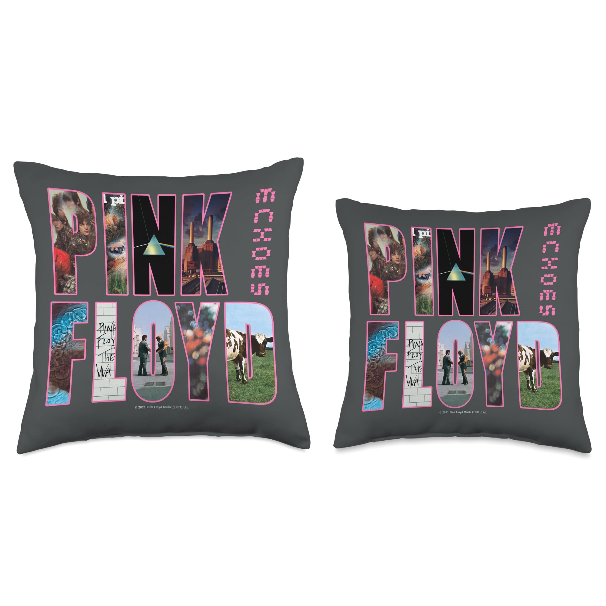 Pink Floyd Album Cover Throw Pillow - Soft Decorative Cushion for Bed, Sofa & Music Room Decor - Perfect Gift for Rock Fans