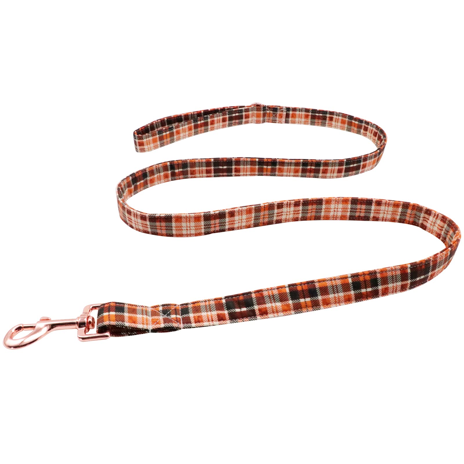 Lionet Paws Dog Leash and Matching Collar Set - Adjustable for Small, Medium & Large Dogs - Perfect for Walking, Training & Outdoor Adventures