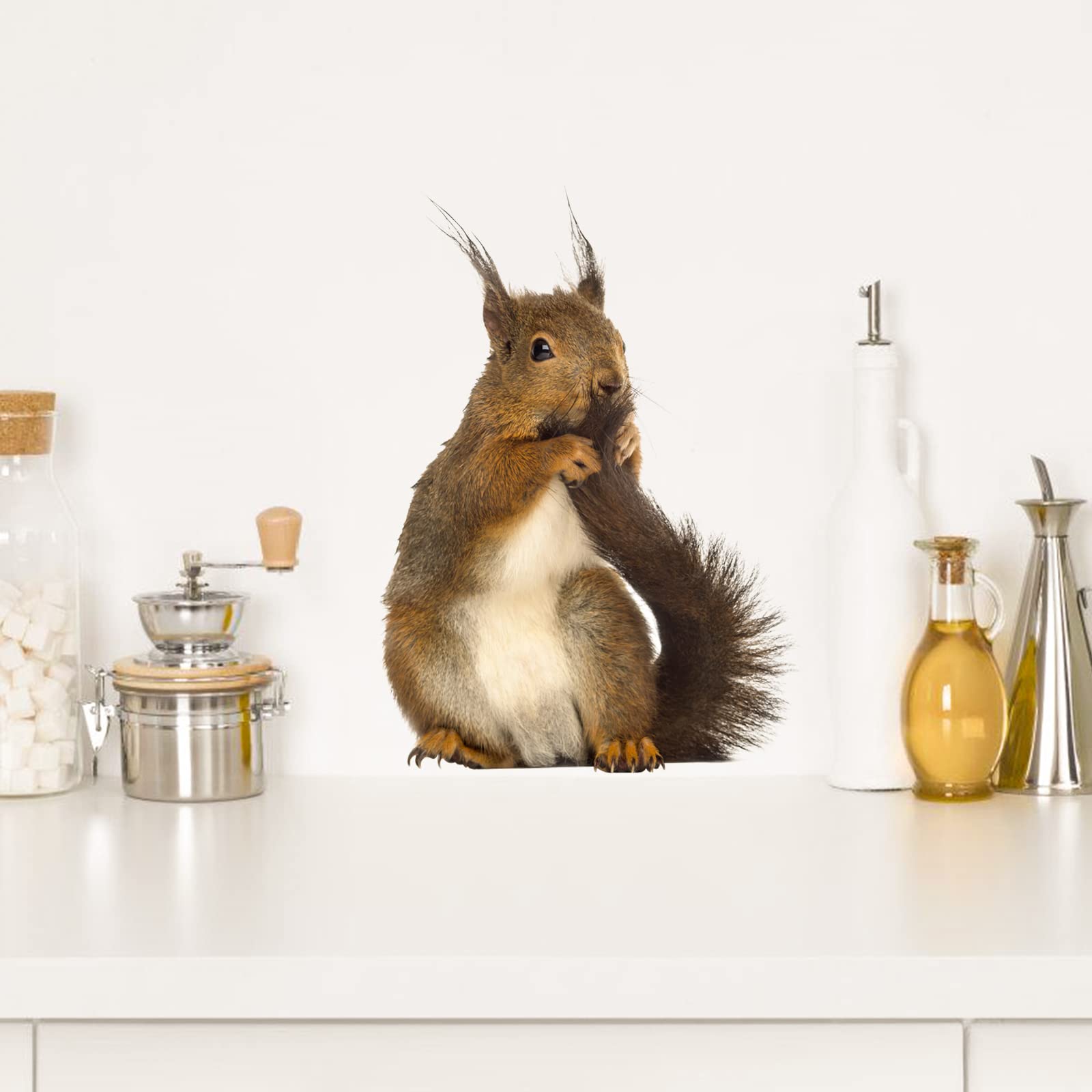 Adorable Squirrel Wall Decals - Peel & Stick Animal Stickers for Home Decor | Perfect for Bedroom, Kitchen, Bathroom, Kids Room & Cafe | Cute Window & Wall Decor for Nature Lovers