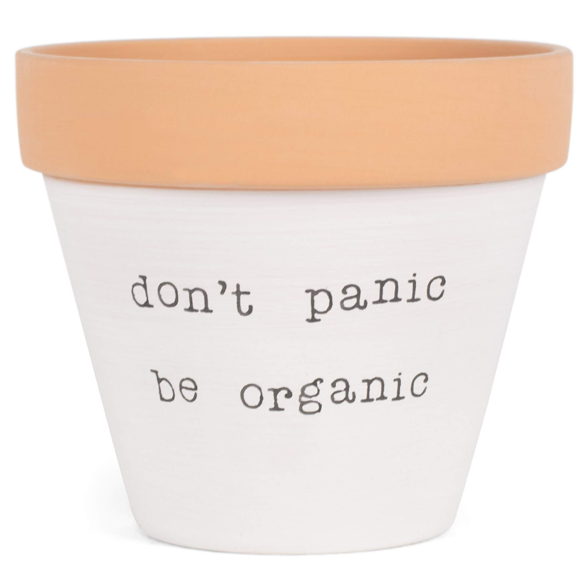 47th & Main Round Clay Planter 4.5 x 4-inches, White - Organic Gardening Flower Pot for Indoor Plants, Succulents, Herbs - Perfect for Home Decor, Office Desk & Windowsill Decorations