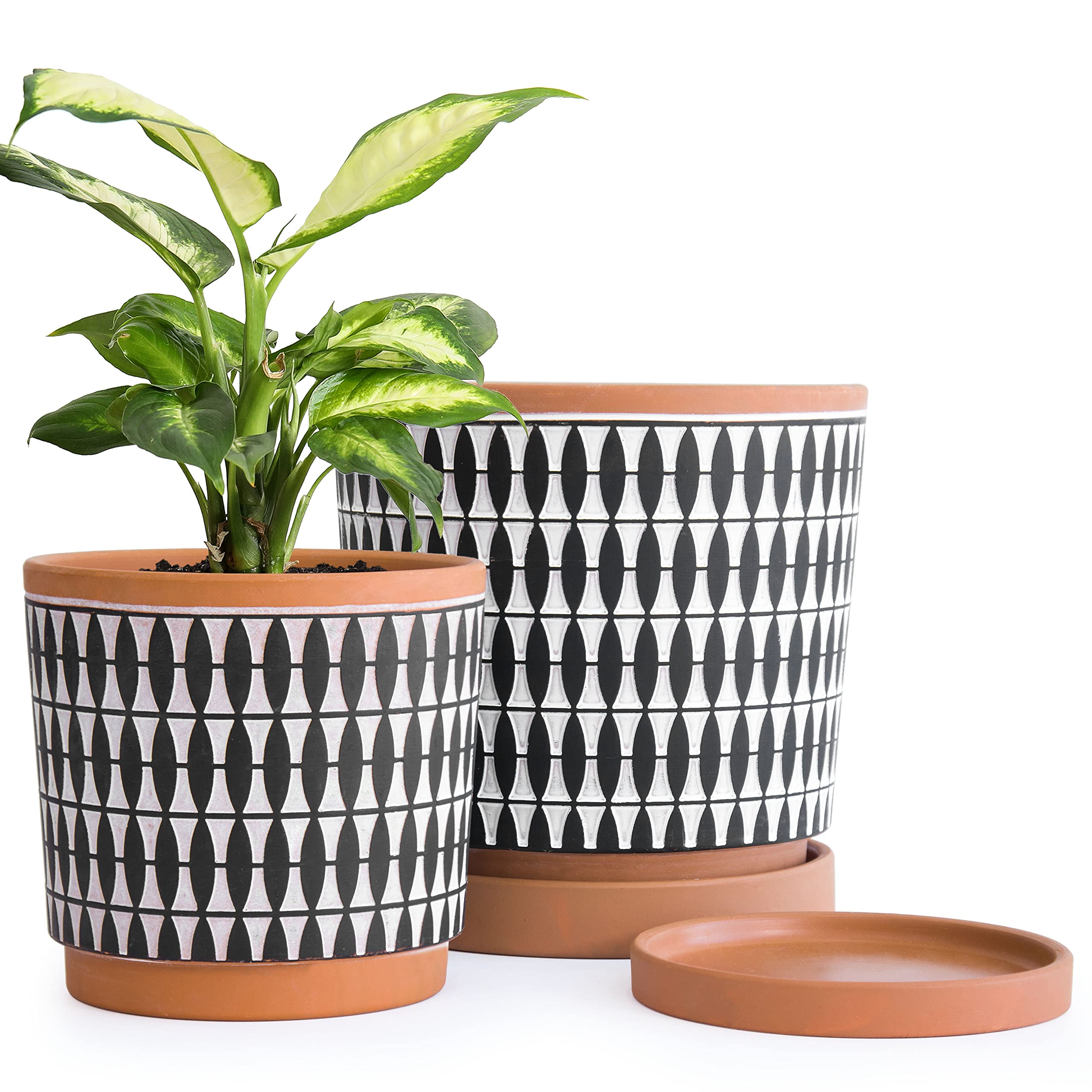 D'vine Dev Set of 2 Terracotta Plant Pots - 6.5
