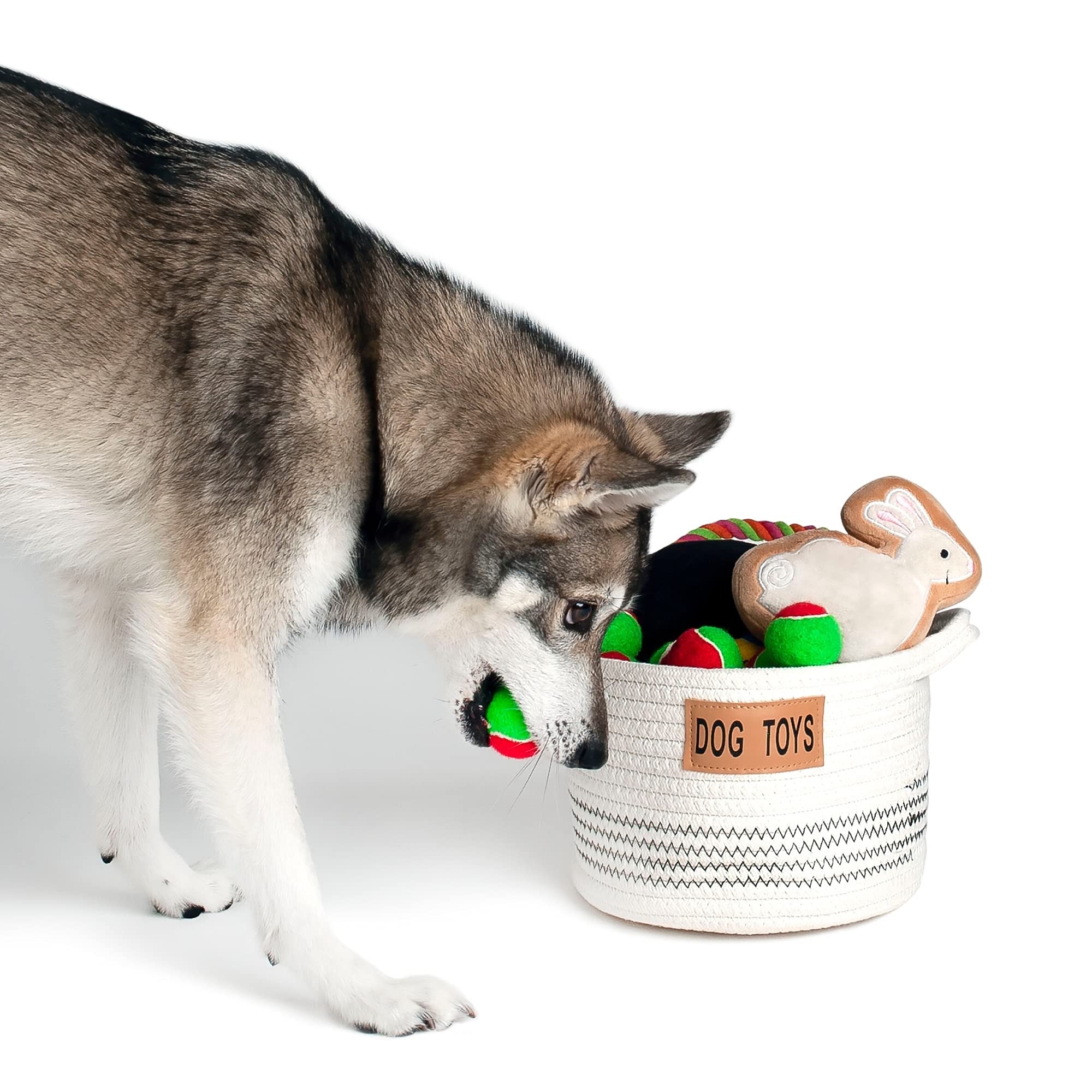 **Midlee Small Cotton Rope Dog Toy Basket – Durable Chew Toy for Puppies & Dogs – Perfect for Indoor Play, Training & Fetch Games**