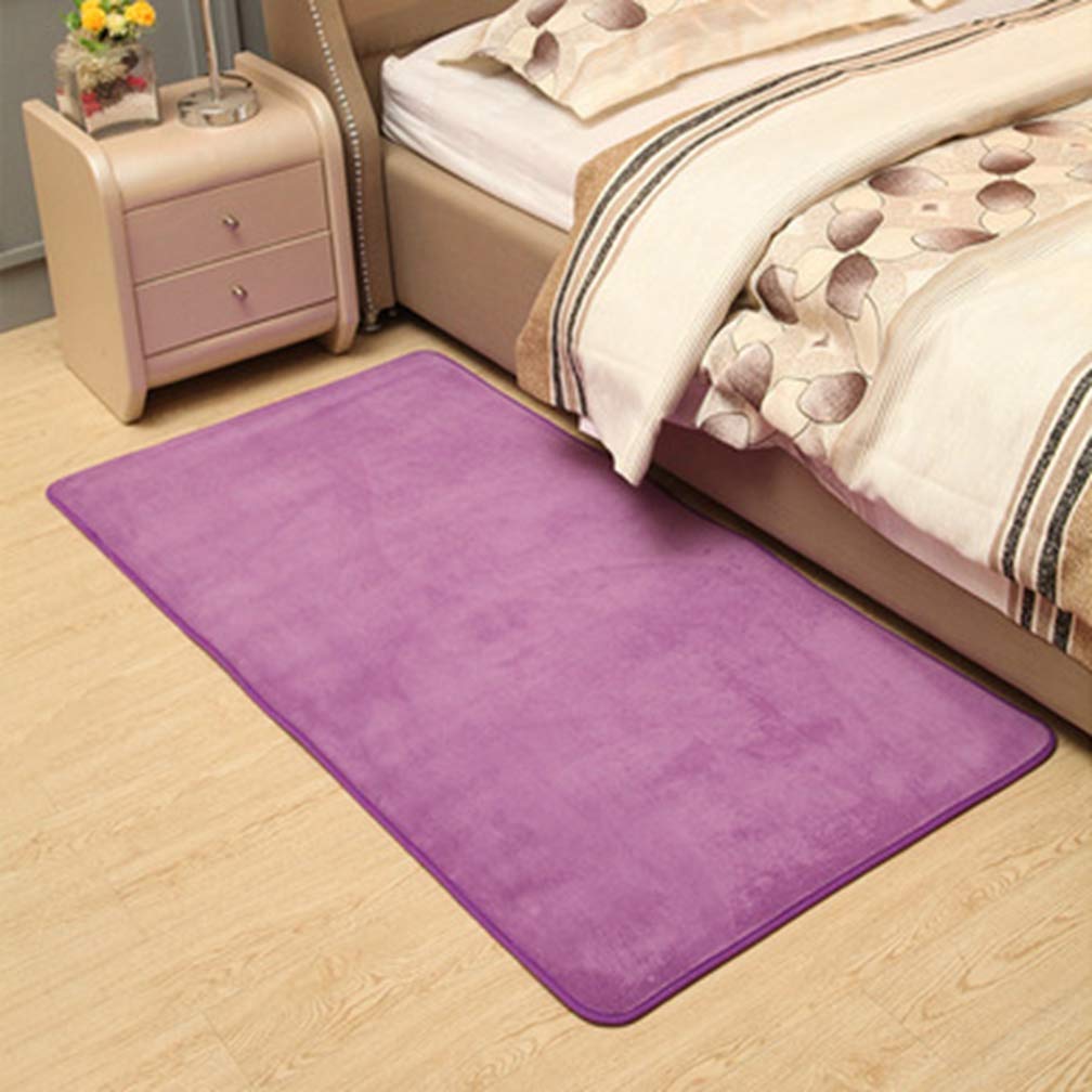 Soft Coral Fleece Non-Slip Area Rug 3'x4' - Modern Rectangular Solid Color Carpet for Living Room, Bedroom, Nursery - Indoor/Outdoor Durable Floor Mat for Kids Play Area, Home Decor (Violet)